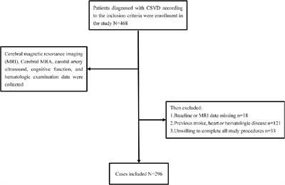 The Relationship Between ADAMTS13 Activity and Overall Cerebral Small Vessel Disease Burden: A Cross-Sectional Study Based on CSVD